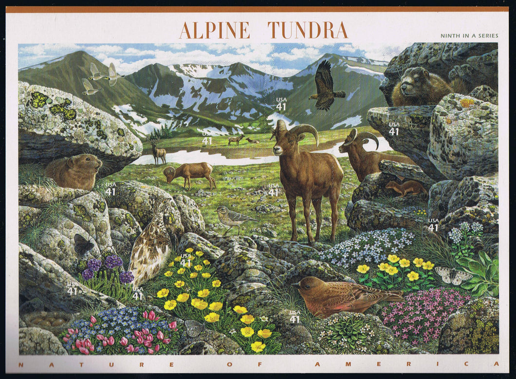 # 4198 (2007) Alpine Tundra - Pane, MNH - AT FACE