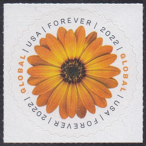 # 5680 (2022) African Daisy - Sgl, MNH