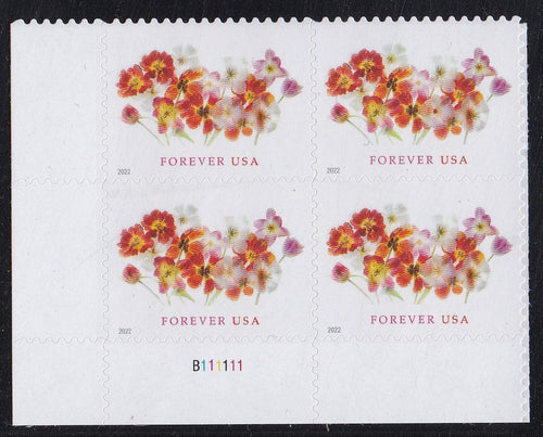 # 5681 (2022) Tulips - PB, LL #B111111, MNH