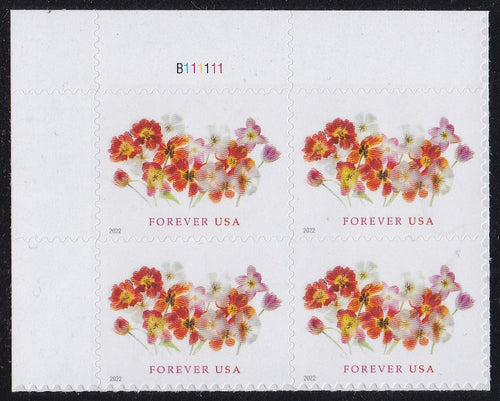 # 5681 (2022) Tulips - PB, UL #B111111, MNH