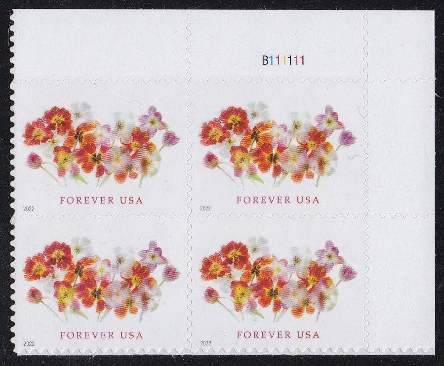 # 5681 (2022) Tulips - PB, UR #B111111, MNH