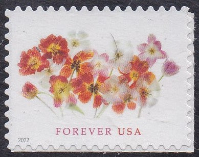 # 5681 (2022) Tulips - Sgl, MNH