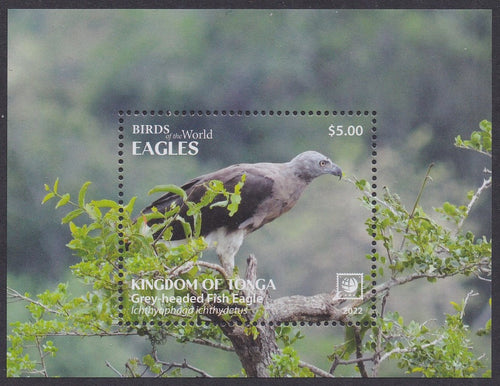 Tonga (2022) Birds of the World, Eagles - S/S, Set/4, MNH