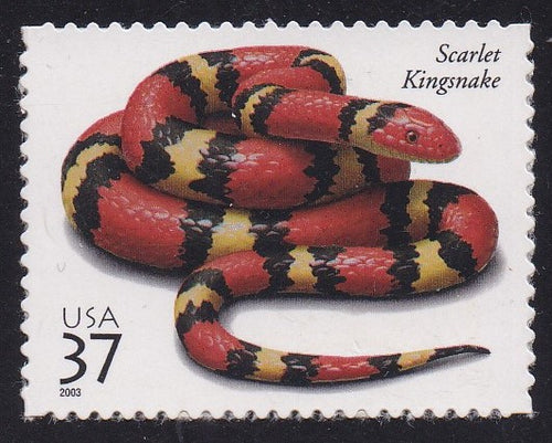 # 3814 (2003) Kingsnake - Sgl, MNH