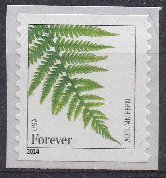 # 4974 (2015) Ferns, 2014 Date - Coil sgl, MNH