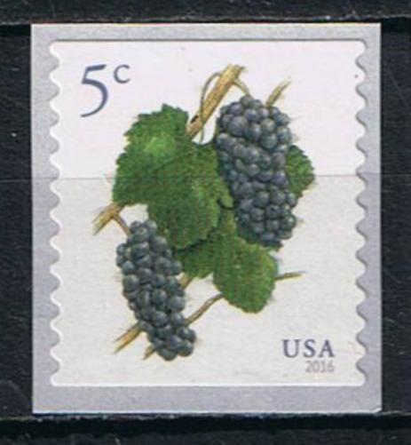 # 5038 (2016) Purple Grapes - Coil sgl, MNH