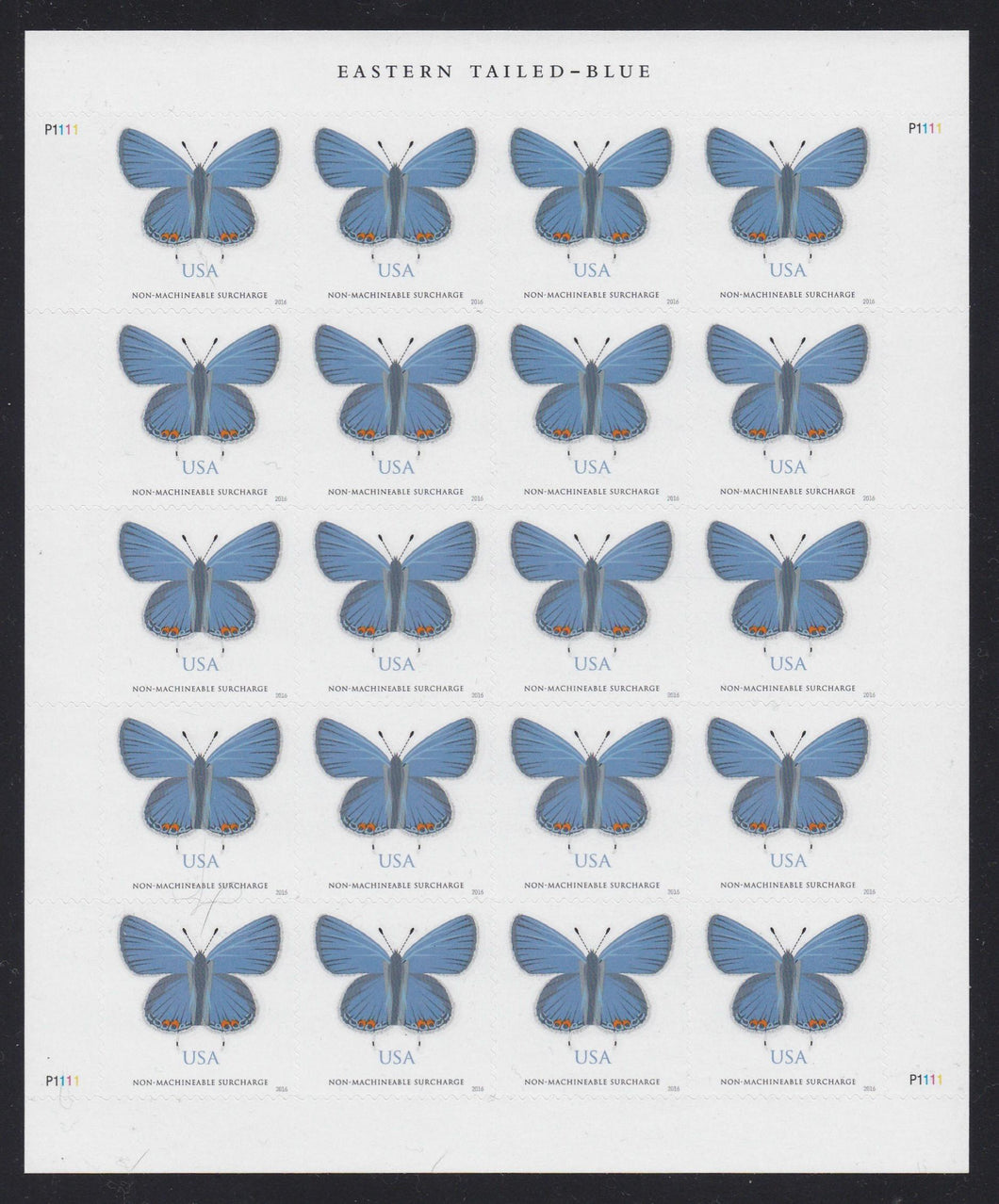 # 5136 (2016) Eastern Tailed-Blue Butterfly - Pane, MNH