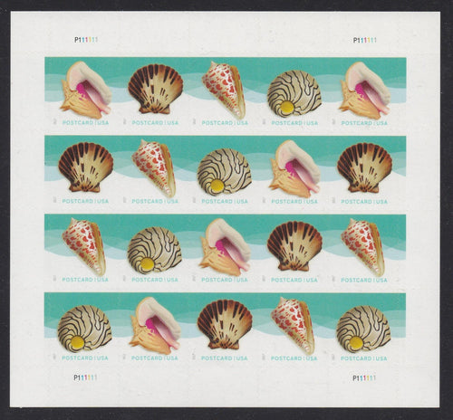 # 5163-66 (2017) Seashells - Pane, MNH