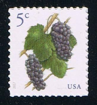 # 5177 (2017) Purple Grapes - Sgl, MNH