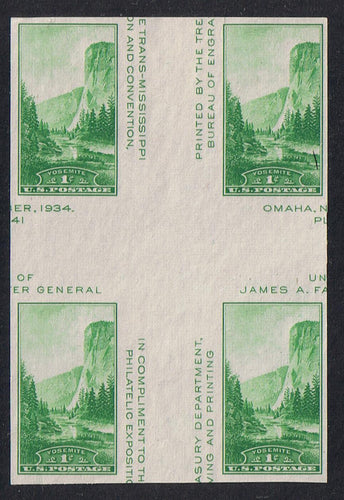 # 769a (1935) Trans-Miss Expo - S/S, Cross Gutter BK/4, NGAI