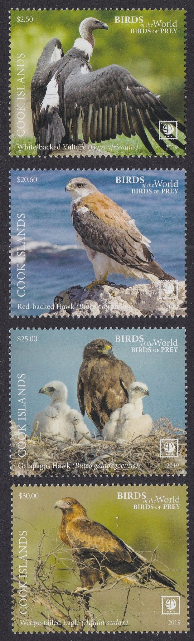 Cook Islands (2019) Birds of Prey, Large stamp - Sgls, set/4