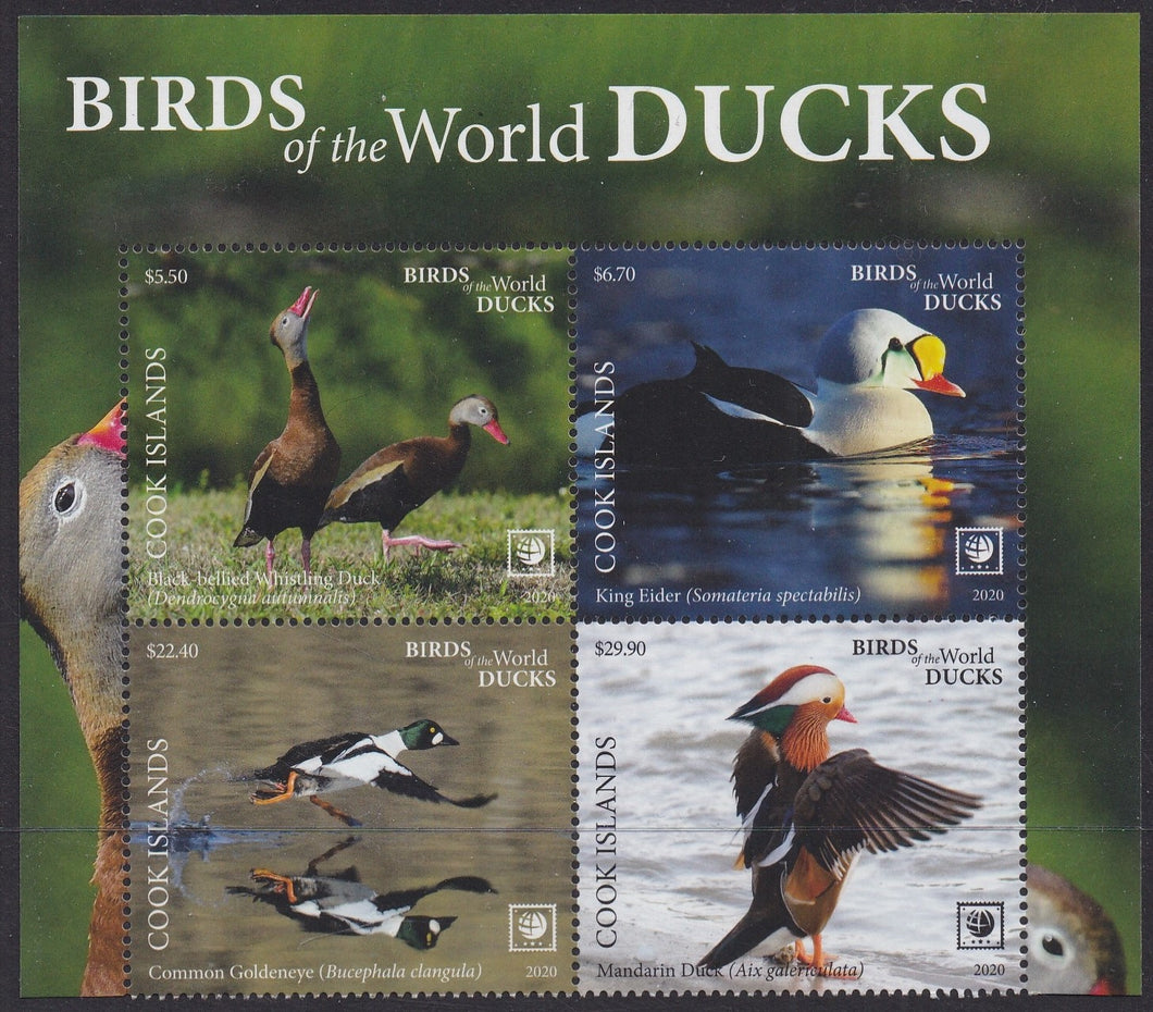 Cook Islands (2020) Birds of the World, Ducks, Large Stamp - BK/4, Top