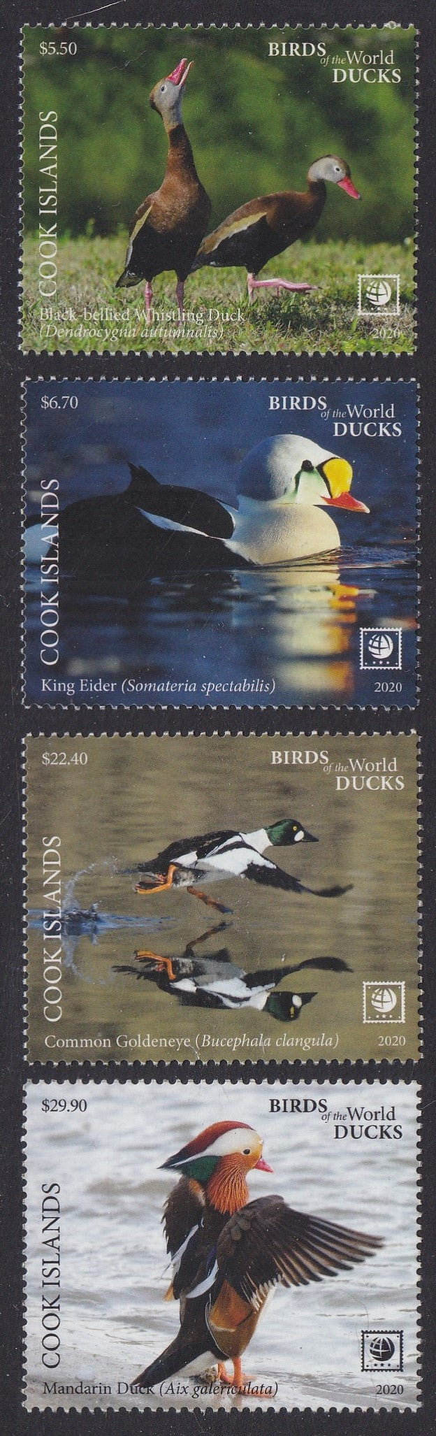 Cook Islands (2020) Birds of the World, Ducks, Large Stamp - Sgls, Set/4