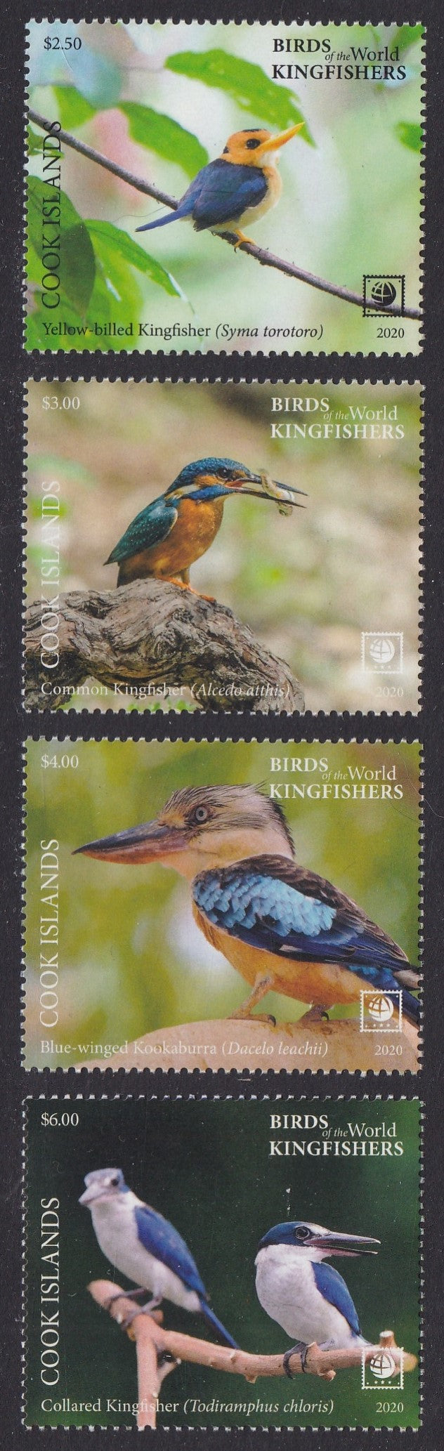 Cook Islands (2020) Birds of the World, Kingfishers, Large Stamp - Sgls, Set/4