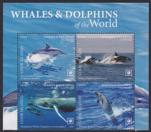 Cook Islands (2020) Whales & Dolphins of the World, Part II, Large Stamp - BK/4, Top