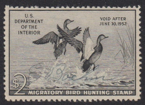 # RW18 (1951) Gadwalls - Sgl, Signed [2]