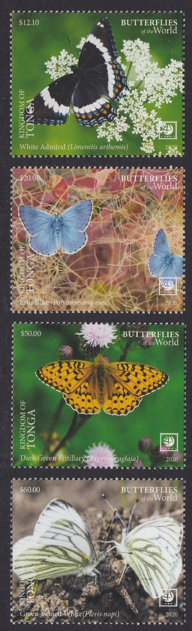 Tonga (2020) Butterflies of the World, Part II, Large Stamp - Sgls, Set/4