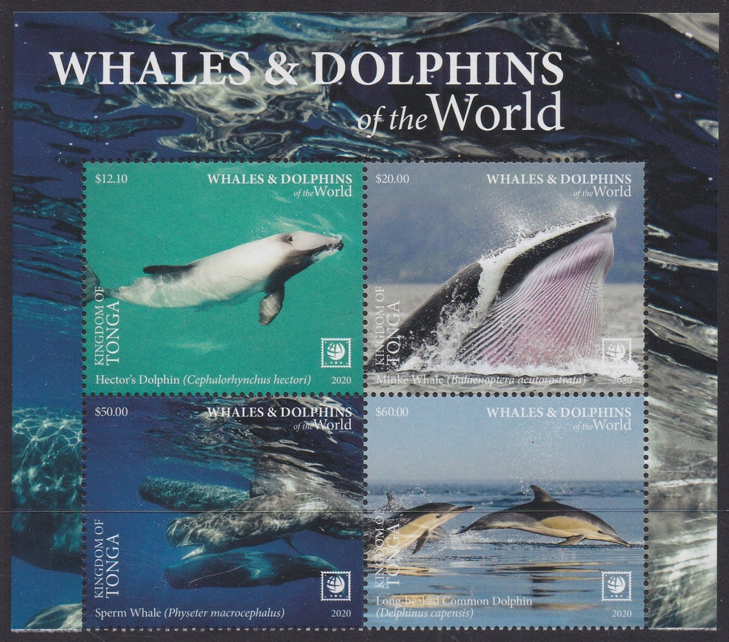 Tonga (2020) Whales & Dolphins of the World, Part II, Large Stamp - BK/4, Top