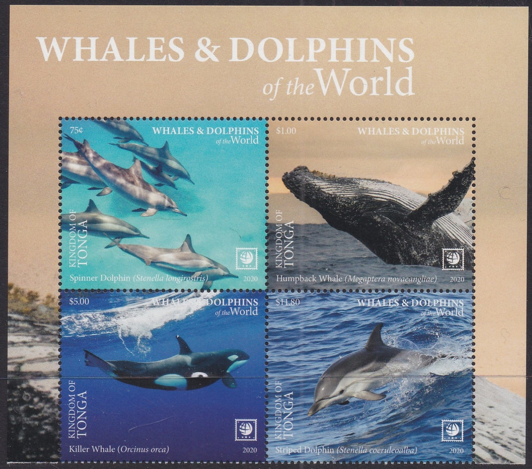 Tonga (2020) Whales & Dolphins of the World, Part I, Large Stamp - BK/4, Top